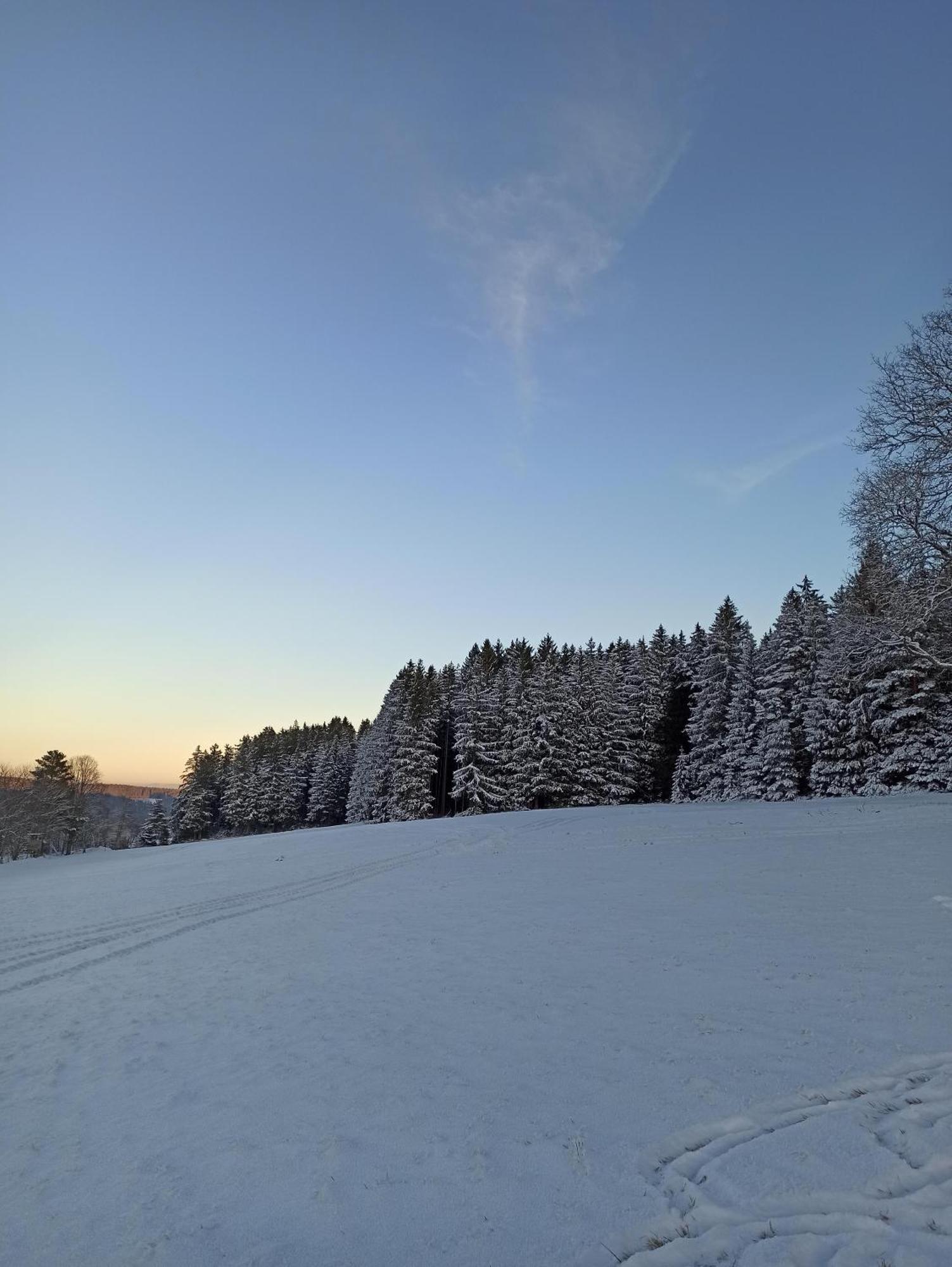 Ferienwohnung Brentenholz Sankt Georgen im Schwarzwald Esterno foto