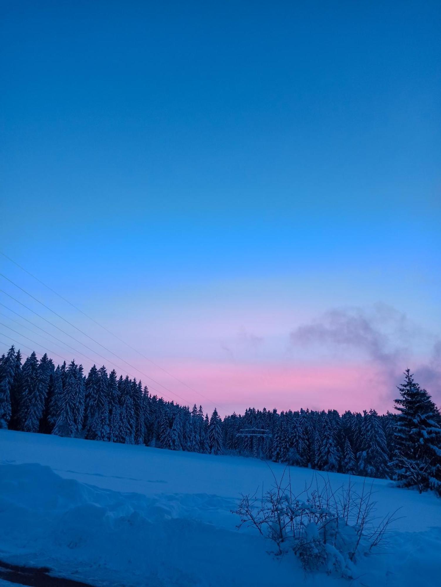 Ferienwohnung Brentenholz Sankt Georgen im Schwarzwald Esterno foto