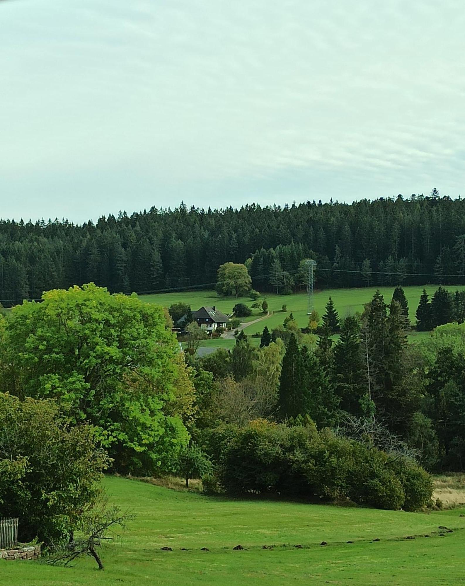 Ferienwohnung Brentenholz Sankt Georgen im Schwarzwald Esterno foto