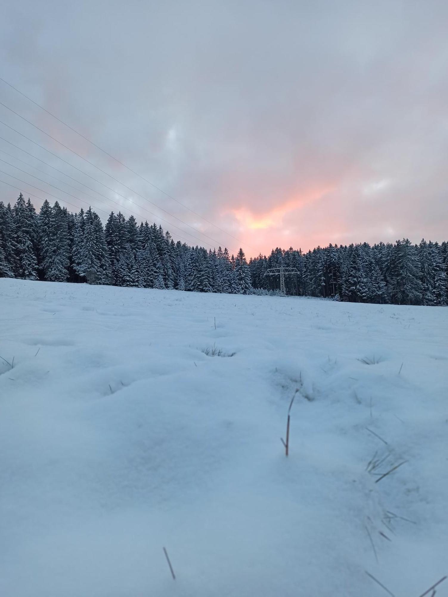Ferienwohnung Brentenholz Sankt Georgen im Schwarzwald Esterno foto