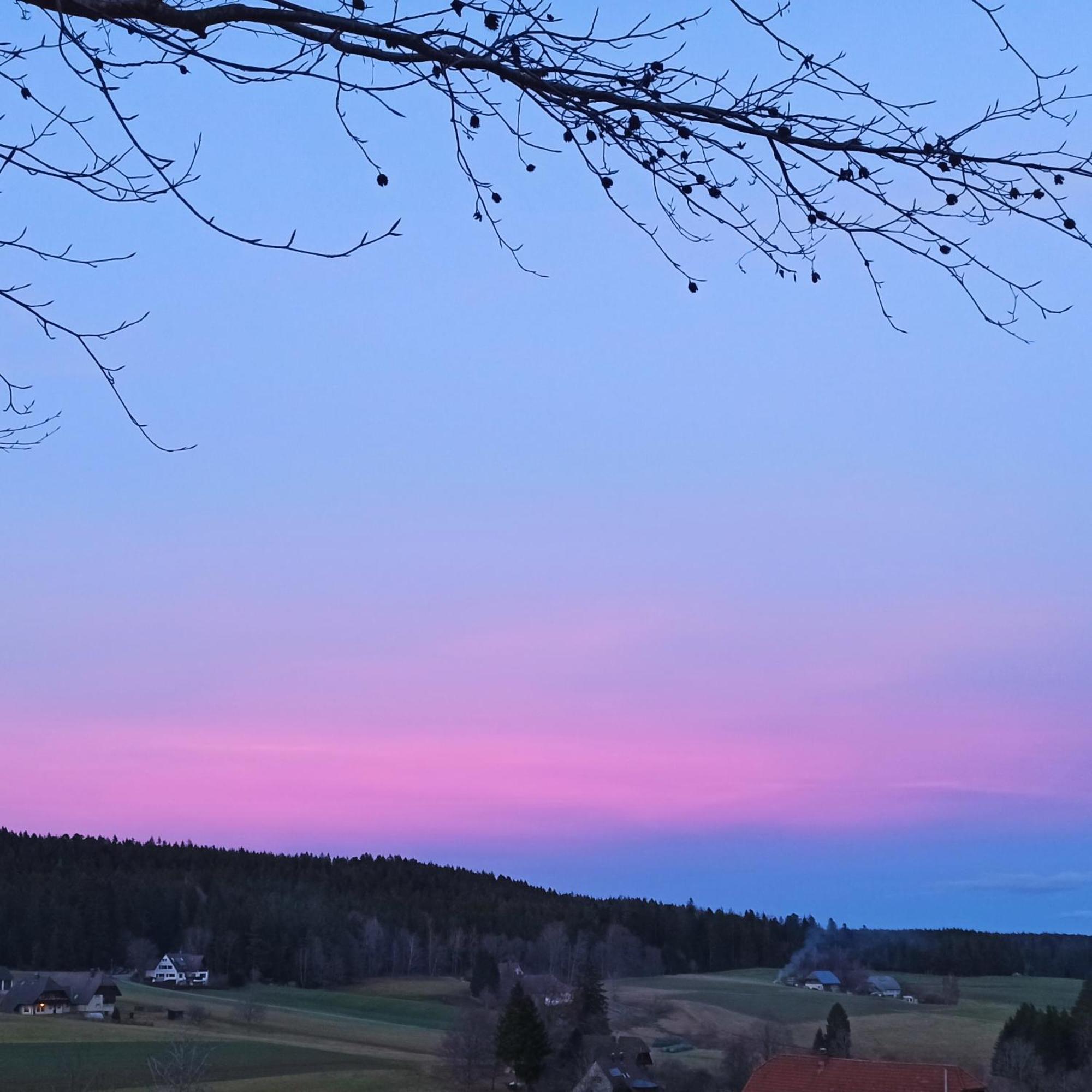 Ferienwohnung Brentenholz Sankt Georgen im Schwarzwald Esterno foto
